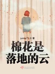 棉花在地里的样子