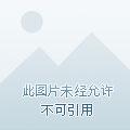 神隐大陆为什么不出新书了