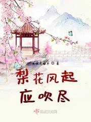 梨花风起现代言情全部作品